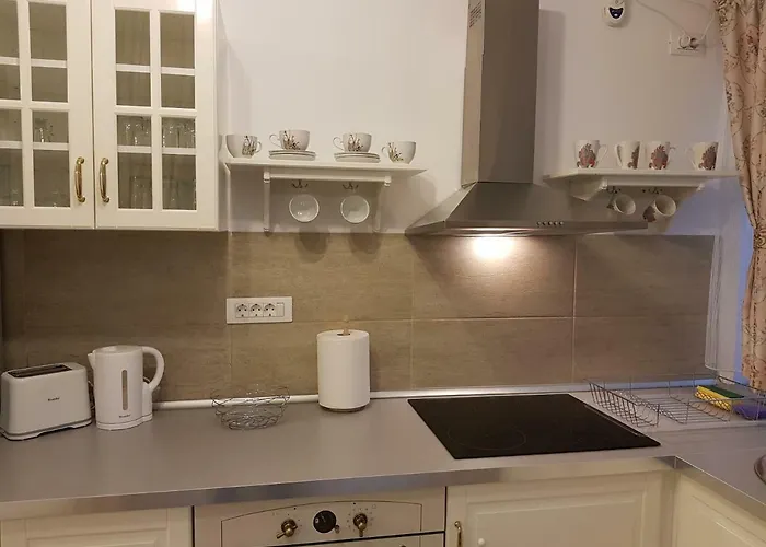 アパート Ultracentral Monadin 2 ブラショフ