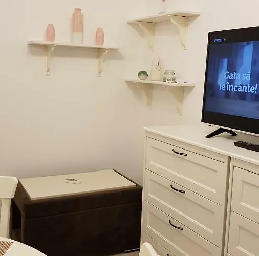 アパート Ultracentral Monadin 2 ブラショフ