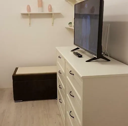 アパート Ultracentral Monadin 2 ブラショフ